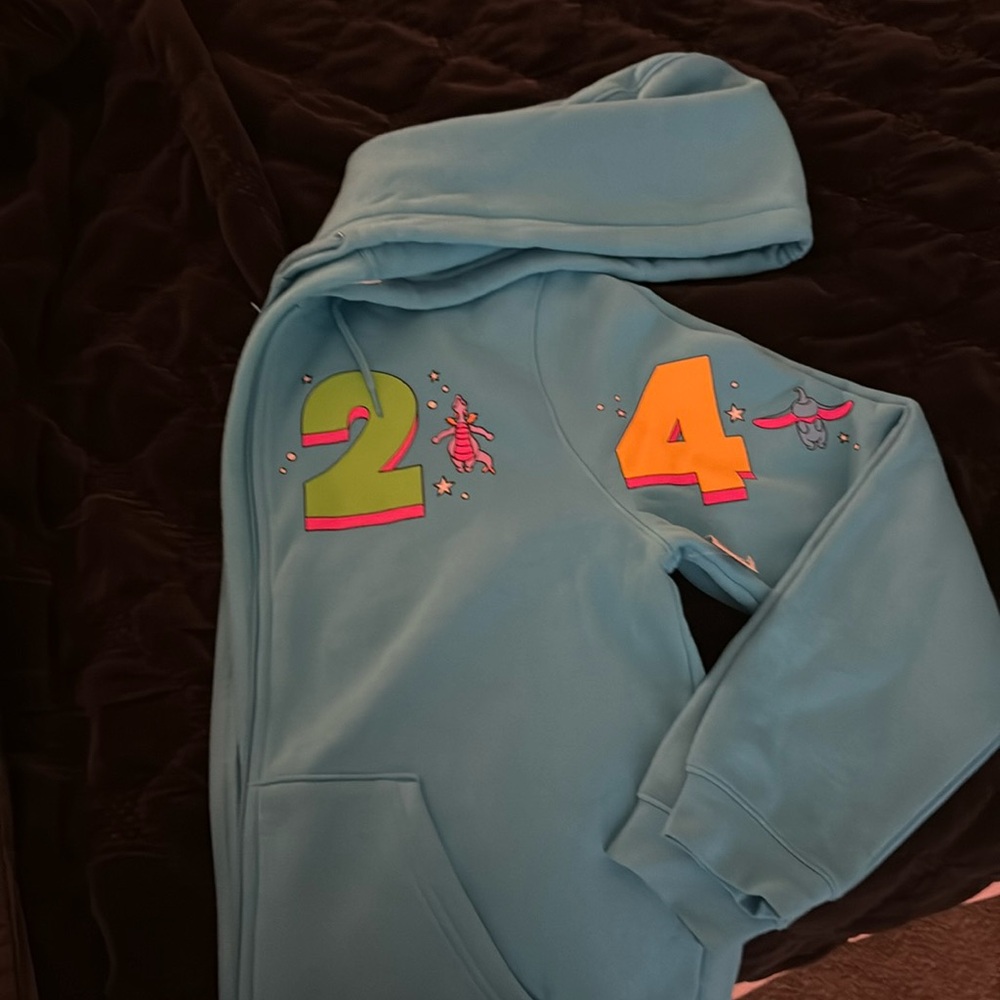 Disney 2024 Walt Disney World Full Zip Hoodie Jacket